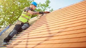 Best Roof Moss and Algae Removal  in Evendale, OH